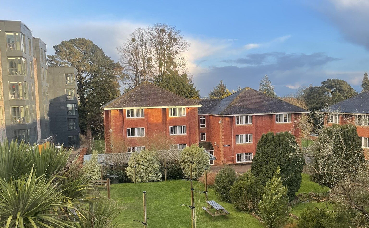 Streatham campus accomodation buildings surrounded by trees.