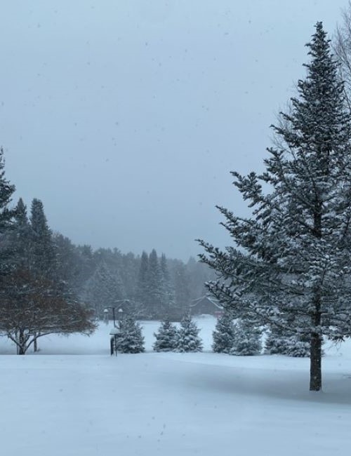 A snowy day in Etna, New Hampshire