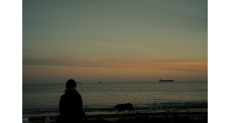 The silhouette of a student looking out to sea and a dog running along an empty beach at the end of a sunset