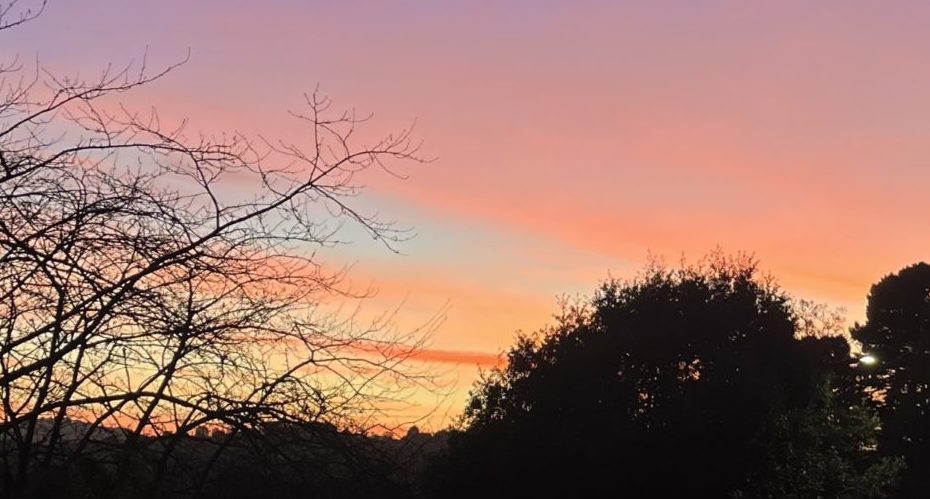 Sunset on Streatham Campus