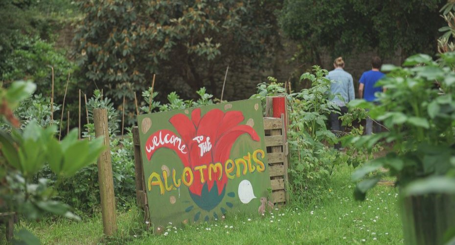 Hand-painted allotments sign in a green area of plants