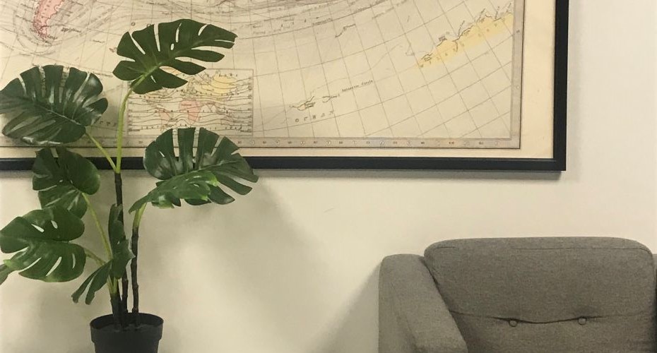 A plant, armchair and large world map in a university halls of residence
