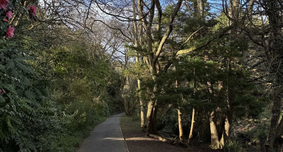 Walk from East Park accommodation towards business school