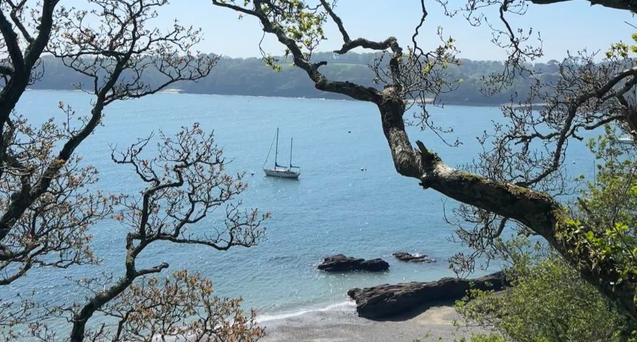 View of clear blue sea with one boat taken from above between tree branches