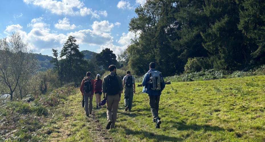Group of students walking on green grass next to a forest in the sunshine