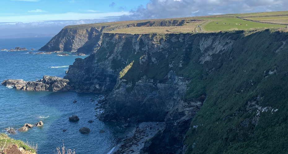 Cliffs in Cornwall on a sunny day
