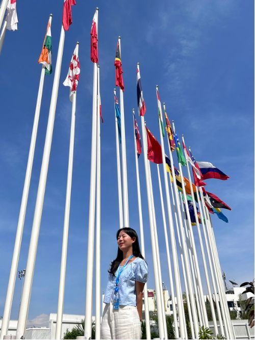 United Nations building in Thailand with flags of member states in the background
